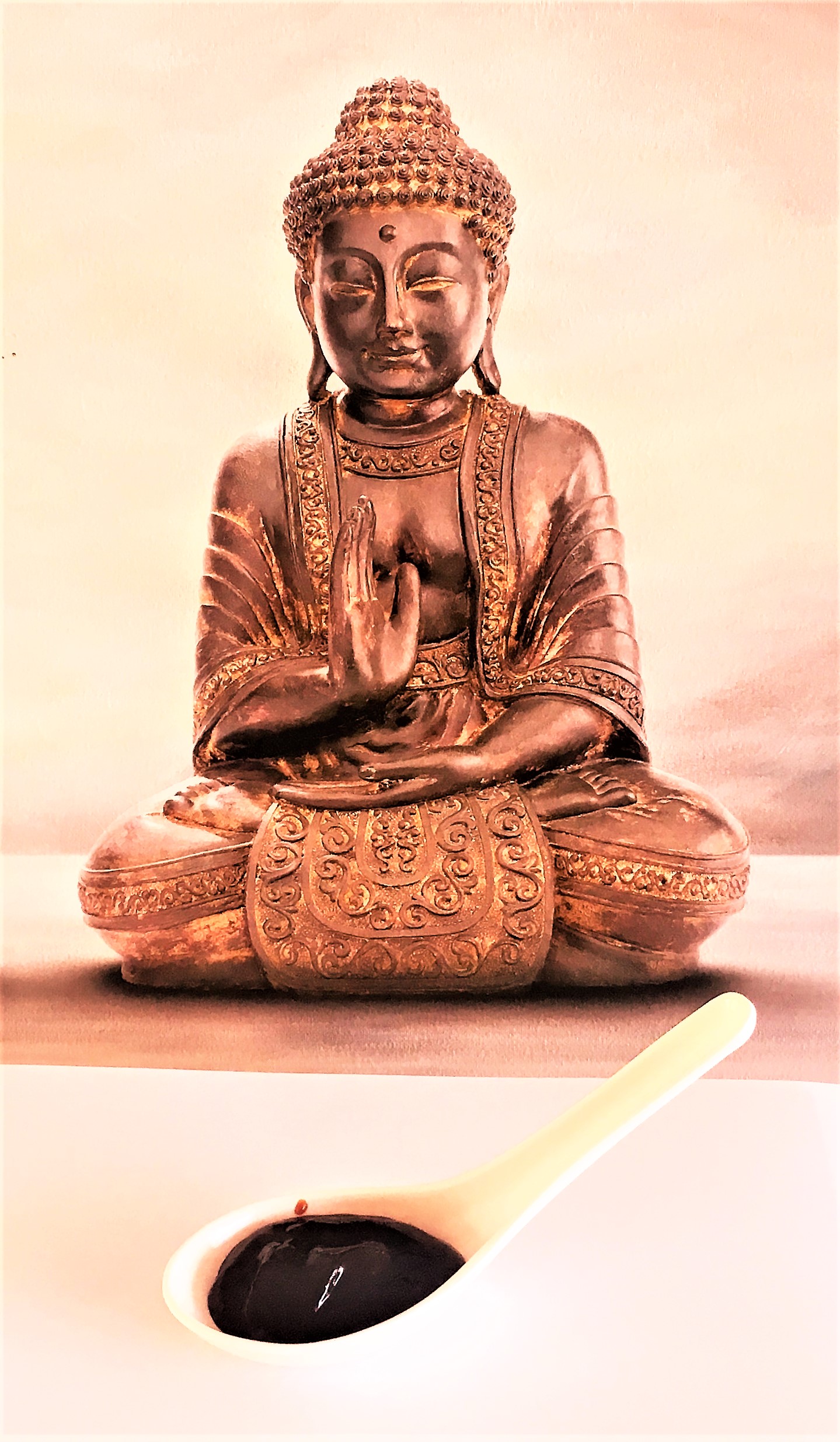 Roerbakken: Kip Hoisin met groente