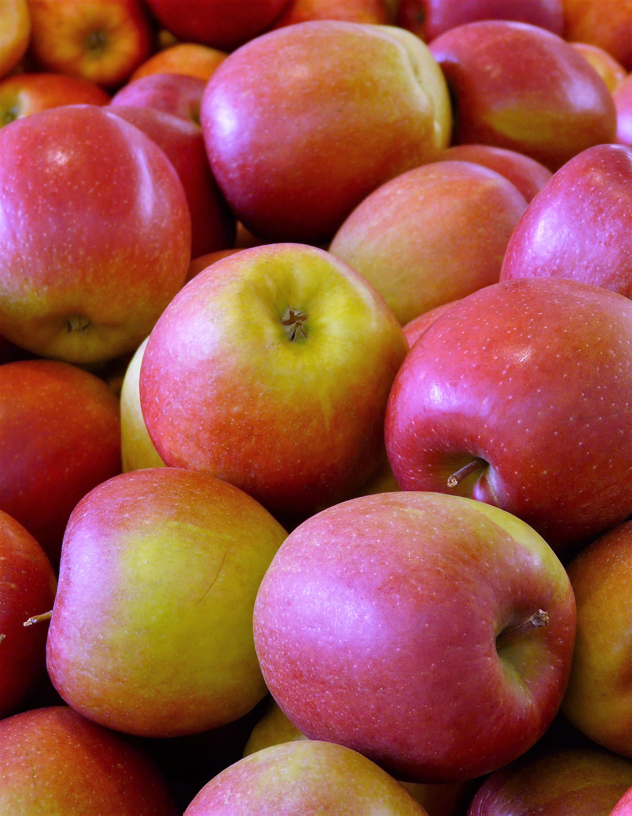 Chutney: Appelchutney