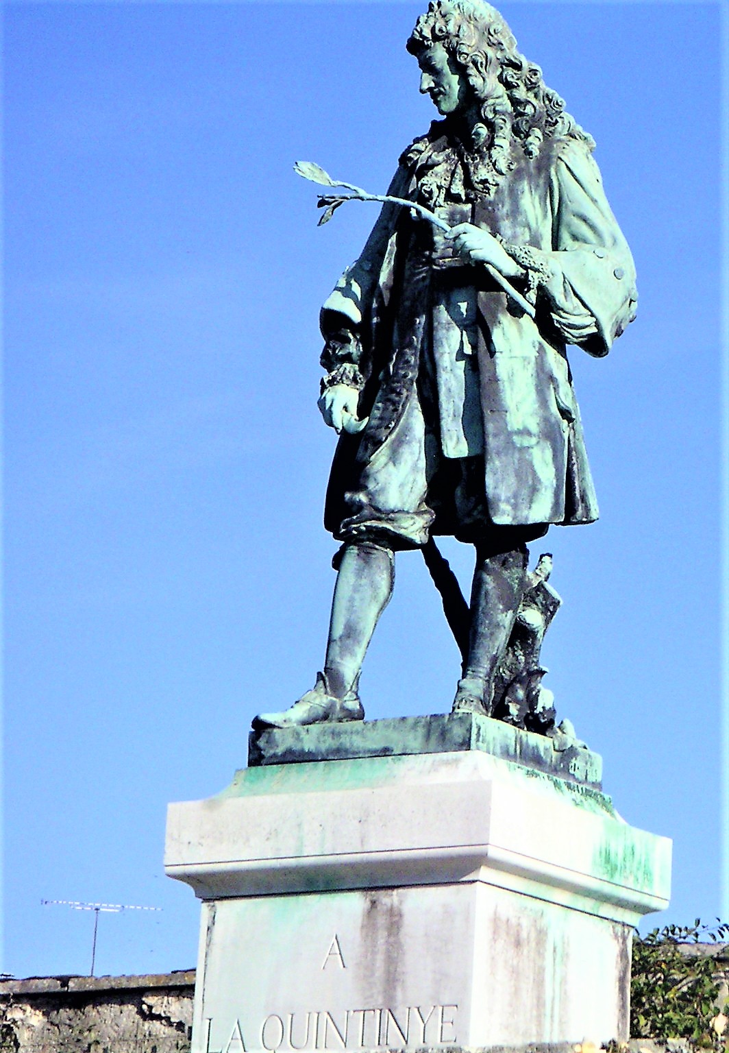 Champignons, de geschiedenis