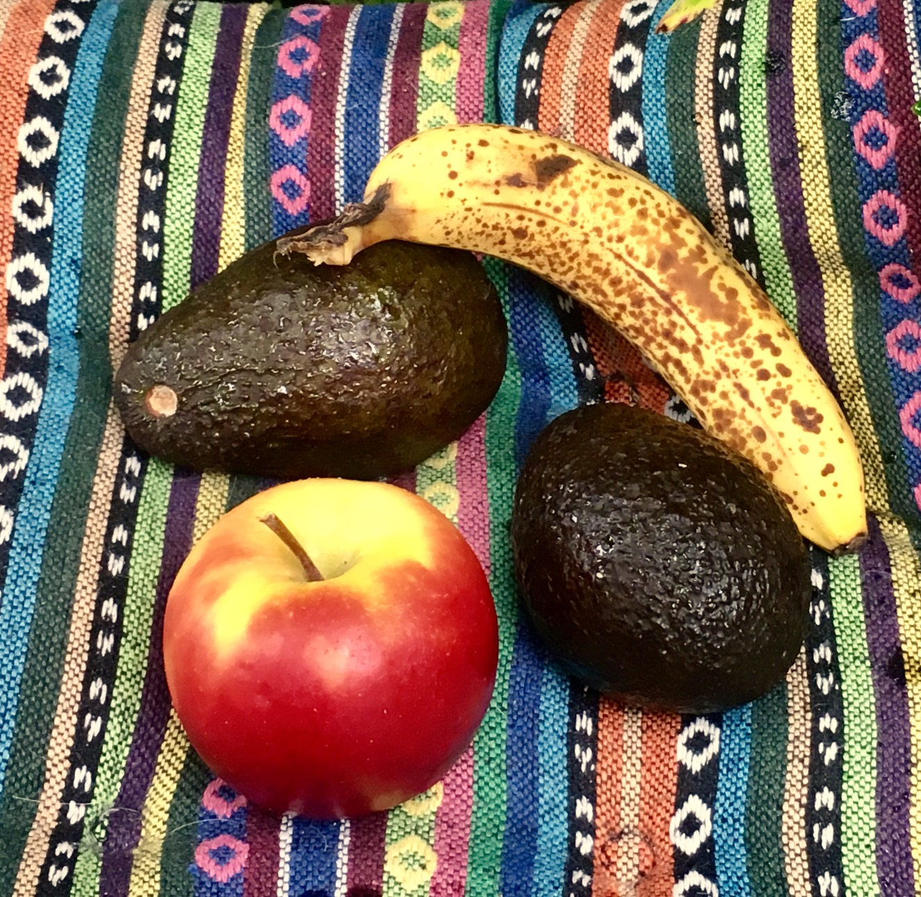 Avocado