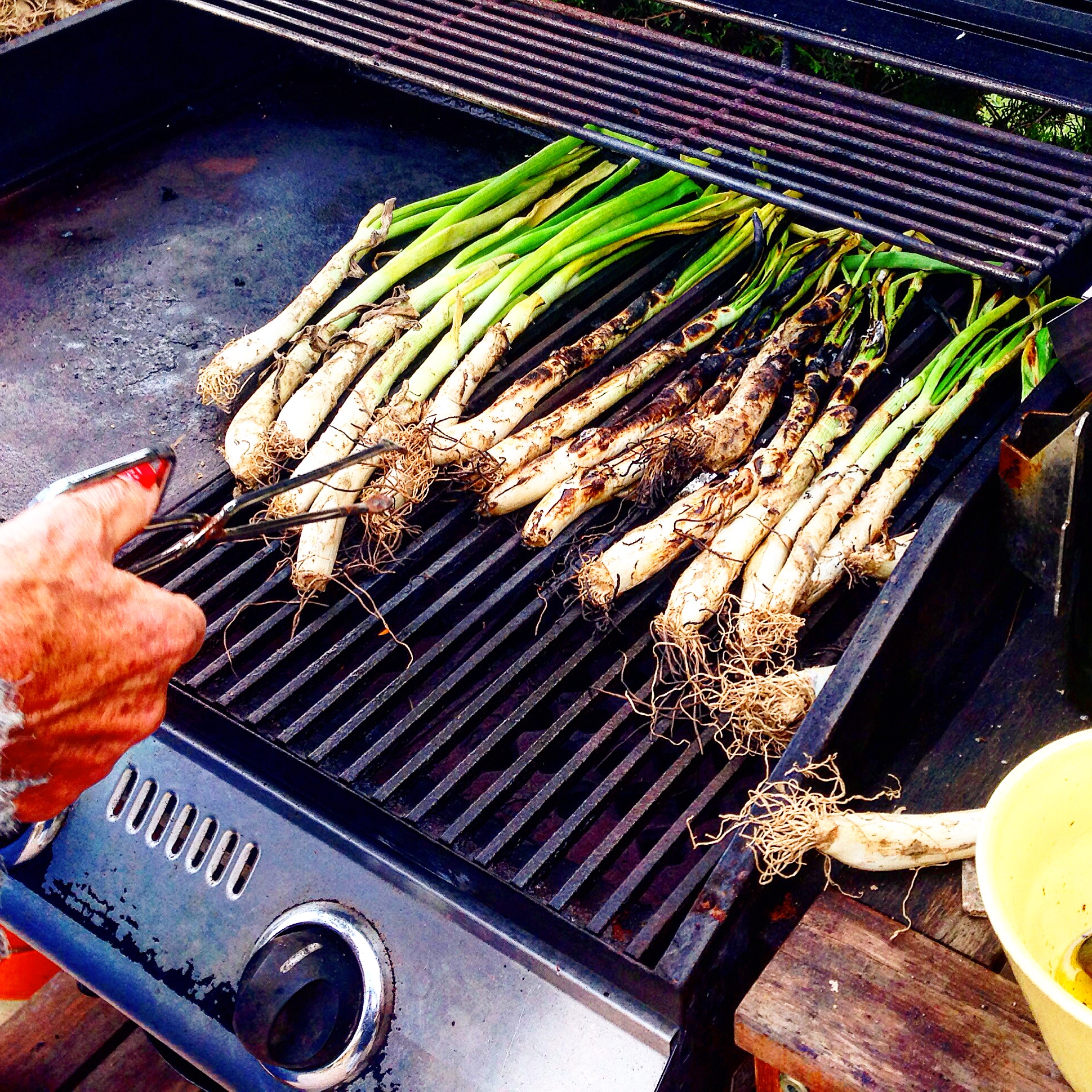 Calçots met romesco saus.