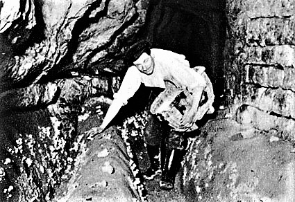 Champignons, de geschiedenis