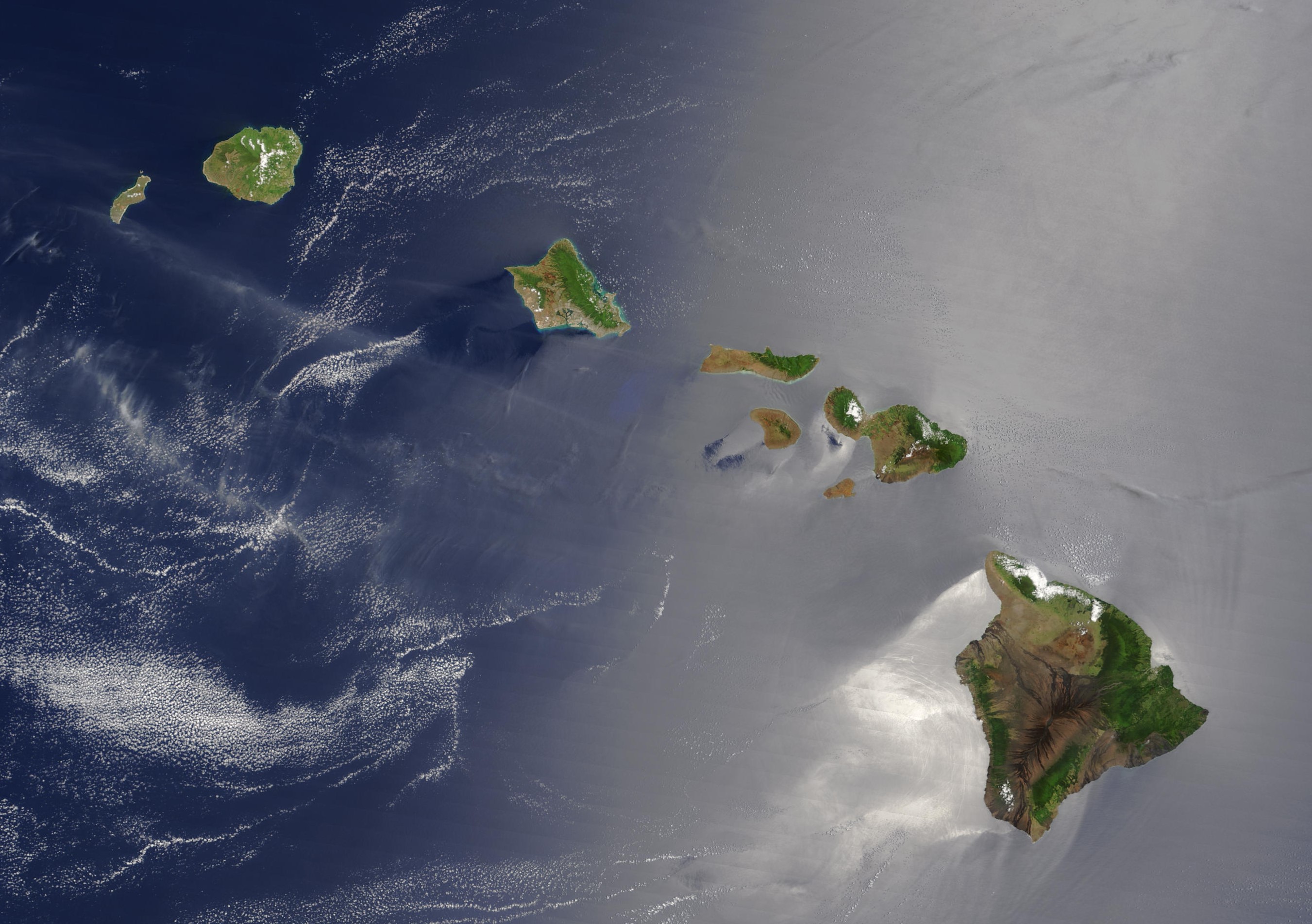 Geschiedenis van de Sandwich