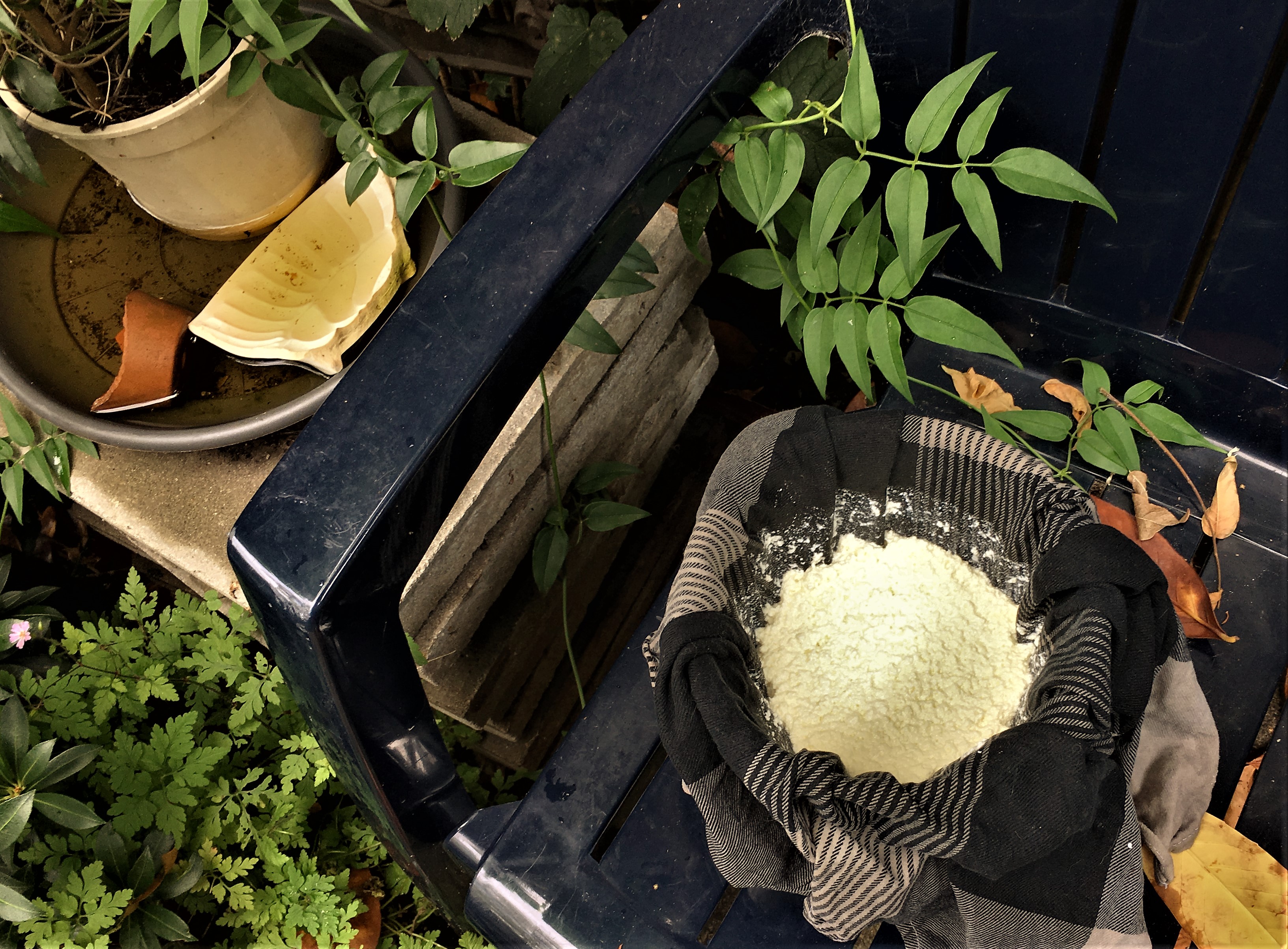 Paneer of Panir: Maak het gewoon zelf!