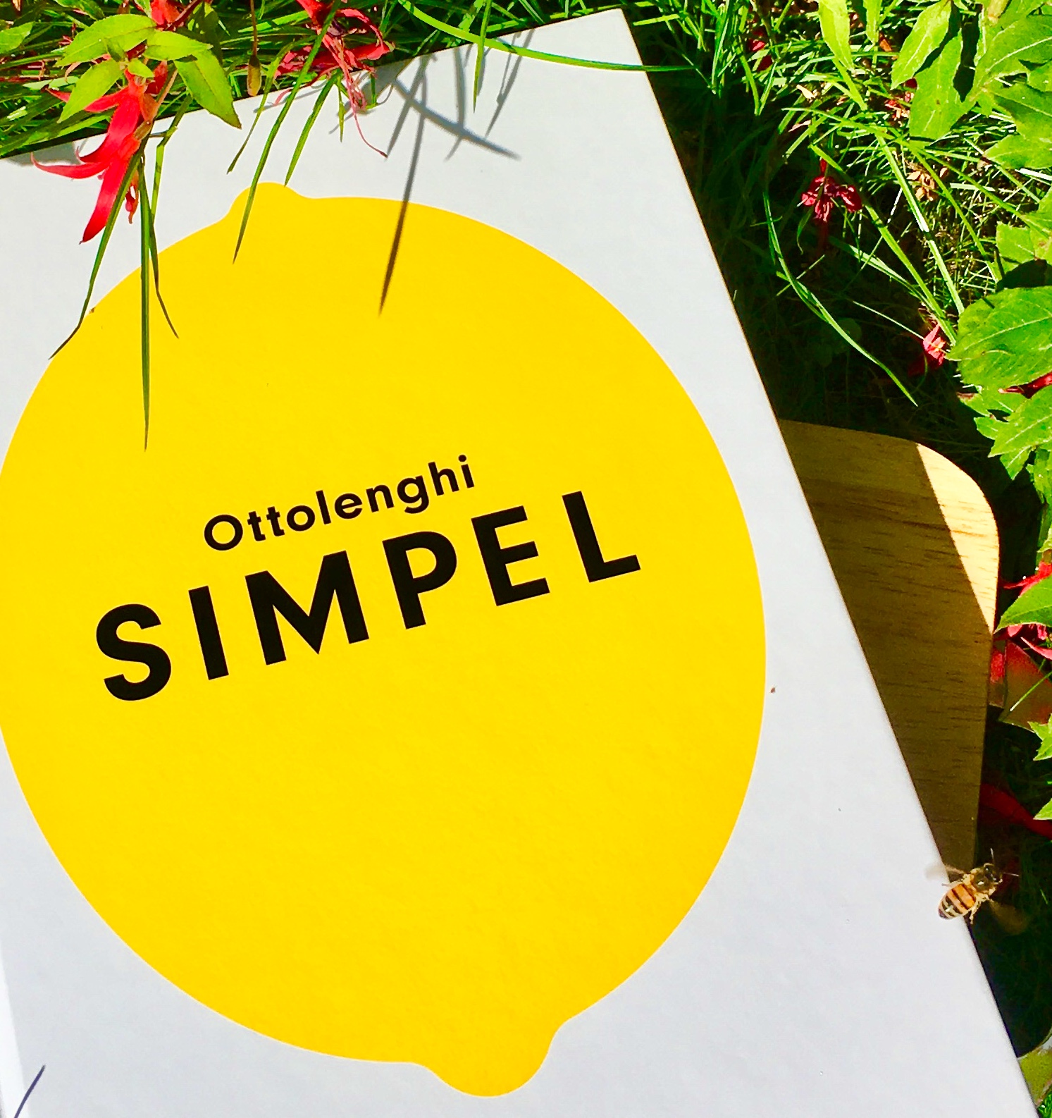 Simpel van Yotam Ottolenghi