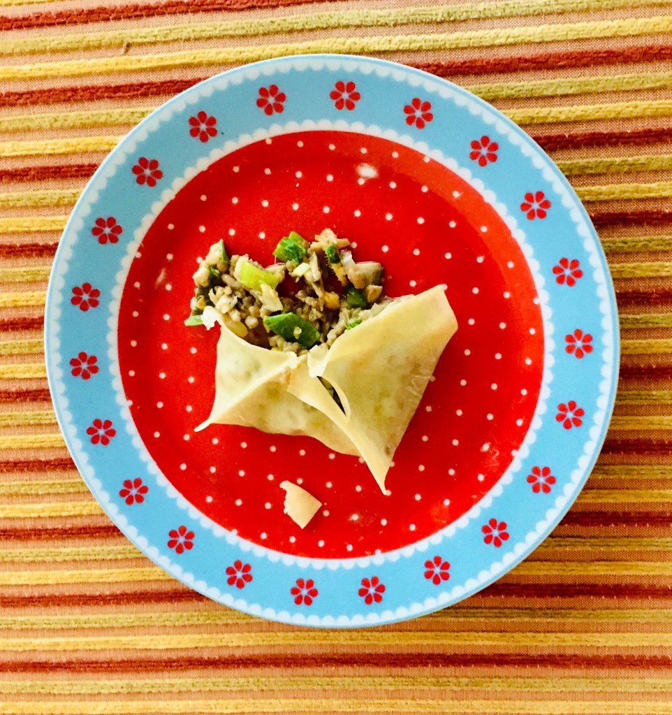 Dumplings (wonton) zelf maken